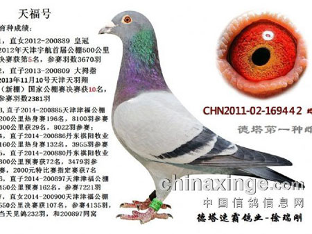 Ƿȱ���ʸ��׼����ĸ�ɡ���ķ��(ͼ)