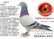 Ƿȱ���ʸ��׼����ĸ�ɡ���ķ��(ͼ)