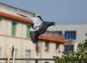 15�괺��ϣ�����ԼҸ�������(ͼ)