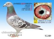 ղɭ������Ȼ�� �����4��(ͼ)