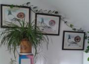 ������Ƴ����� ����һ������(ͼ)