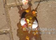 ���ѻ���֮���ֵĸ뵰(ͼ)