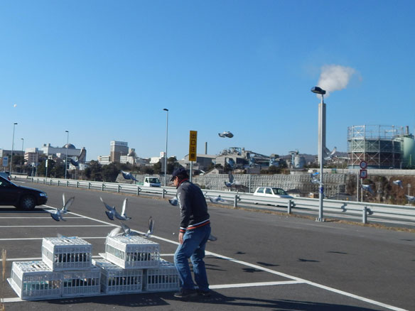 �ձ����Ѻ���ѵ������(ͼ)