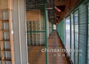 �ӱ���ï����һ��Ӳ����ʩ����(ͼ)