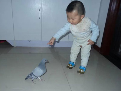 ����Ҫ������ץ��