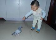 ����Ҫ������ץ��