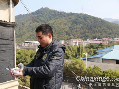 ɽ�����������ڣ��ùھ�ҡ����������(ͼ)