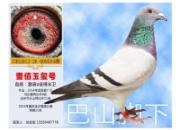 Ϊ������������Ӱ(ͼ)