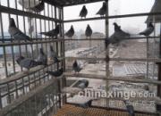 ����ʧ�������� һ���춪����(ͼ)