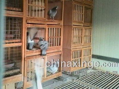 ����ڣ���������һ�����������硱(ͼ)