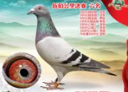 �ָ�����Ա��14�������׸뾭���ܽ�