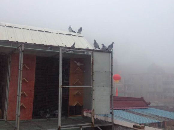 �ޣ�Ũ�������ظ�����(ͼ)