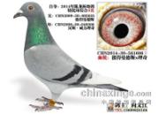 �����������Ľ���������������(ͼ)