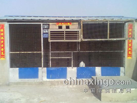 ������꣺�������϶���ӭ����(ͼ)