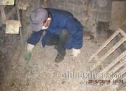 ����ʮ��ɨ�� ���ǻ�ϲ������(ͼ)