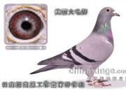 �̵�14�꽱�� �ر���ʧ���(ͼ)