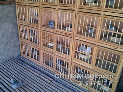 �����һ���æ(ͼ)