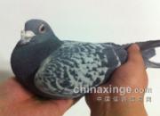 ���ͣ��ҵ�15���ָ����(ͼ)