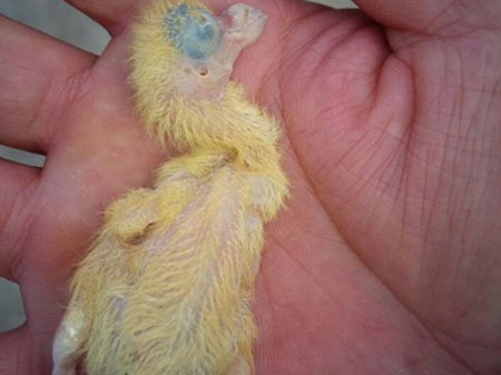 �����죺�ָ롰�������ӡ�(ͼ)