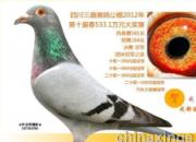 ���֣�ʵ������֪ ��������Ѫ(ͼ)