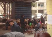 �Ĵ����У����괺�������ֶ�(ͼ)