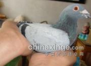 ���ѵ��´��϶ԣ������������(ͼ)