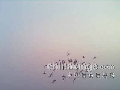 ����ָ뱻��ϴ ������ս2015(ͼ)