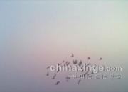 ����ָ뱻��ϴ ������ս2015(ͼ)