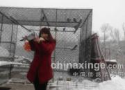 �������ѩ�������롢��Ů(ͼ)