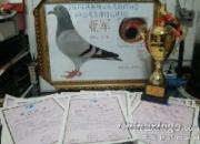 ȥ���ܽ᣺�Ҹ����׷ֽ���(ͼ)