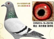 2014���ҵĸ붼�Ǹ�����(ͼ)