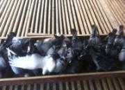 �������Ȥ�����׽��Ҽ���