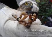 �紺���Ρ���û �ҷɳ�����(ͼ)