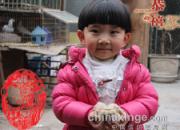 �������������������(ͼ)