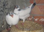 ���Ҹ���������׳���(ͼ)