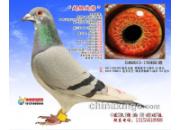 �رȾ�����һ�����10��ھ�(ͼ)