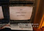 ����ߵ�ݹھ�ʺ��(ͼ)