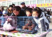 ��Լ���� �ɸ봫����