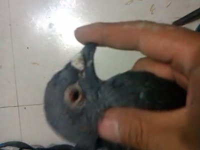 ��Ƶ��ǧ��������¸룿