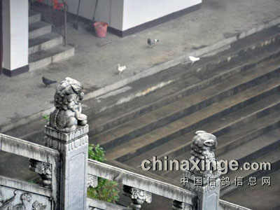 �Ż�ɽ���Ѱݷ�