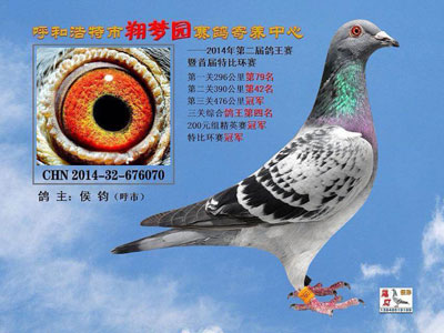 �ҵĸ벻��Ӧ12�·ݱ�����