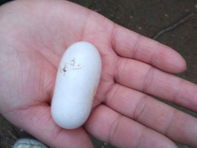 ���Ǽ�����Щ����ֵ���(ͼ)