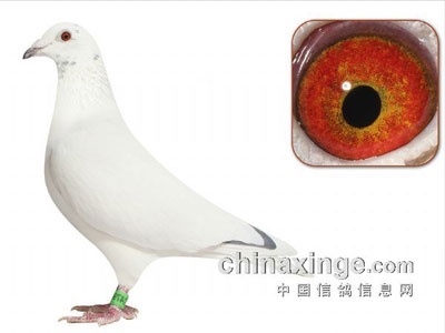 ��̸̸��������ǰ������