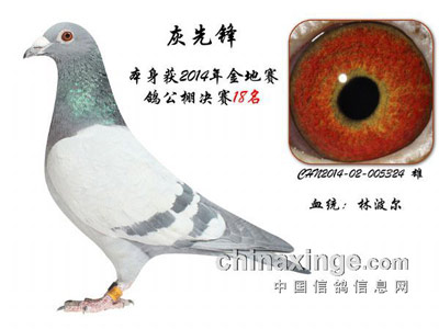 �׸�ӳ��ǵ����ҵ�ɸѡ��̭