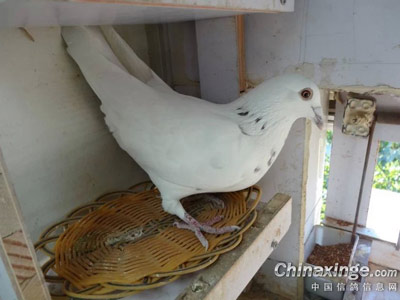 ��ܿ����ԣ�Ц�������Ӯ��(ͼ)