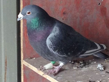 ������������06�������(ͼ)