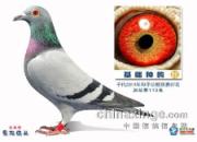 �����ָ�δ�� ���ĸ�������(ͼ)