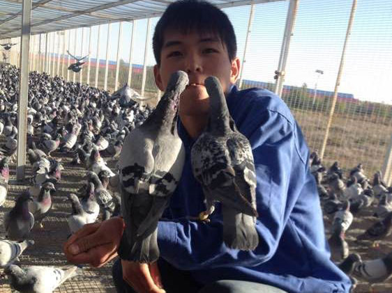 ������Ѿ����ѣ�������뵱ְҵ ���˷���