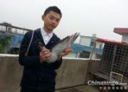 90��򹤻ؼ� �������е�����(ͼ)