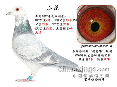 �����ڼ��ָ�ˮ������